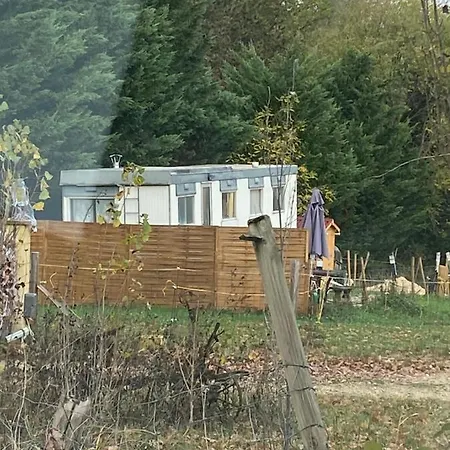 Pelerin - 
