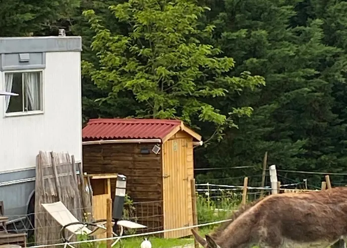 خيمة فخمة Pelerin - 