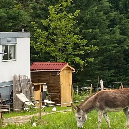 Campo de lujo Pelerin - 