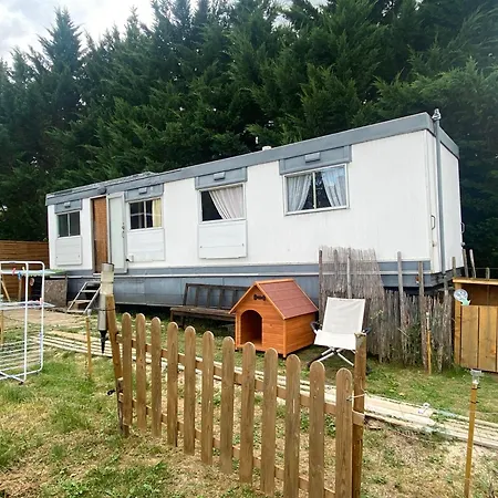 Pelerin - 