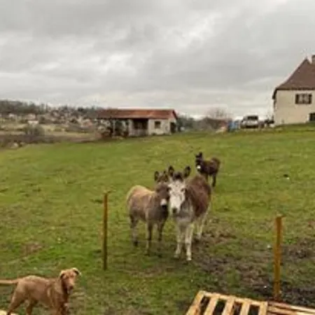Pelerin - 